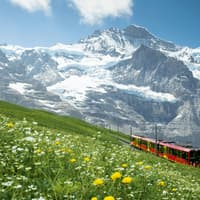 Jungfraujoch: Roundtrip Train from Grindelwald