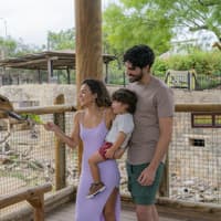 سان انتونیو چڑیا گھر کے لچکدار کسی بھی دن کے داخلہ ٹکٹ, San Antonio Zoo, San Antonio