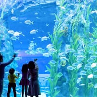 Combo (Save 26%): Lotte World + Seoul Sky Observatory Tickets — gallery 5