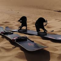 Doha: Half-Day Desert Safari Tour + Roundtrip Transfer — gallery 2