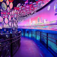 Expo City Individual Pavilion Pass — gallery 3