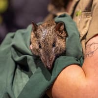 WILD LIFE Sydney Zoo Tickets — gallery 1