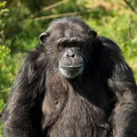 Whipsnade Zoo Entrance Tickets — gallery 3