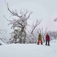 Mt Buller: Coach Transfer from Melbourne + Resort Entry — gallery 1