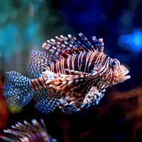 Dubai Aquarium & Underwater Zoo: Gold Pass — gallery 4