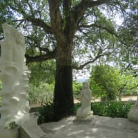 Fátima Sanctuary: Half-Day Trip from Lisbon with Audio Guide