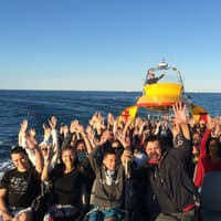 Chicago Lakefront Fireworks Cruise