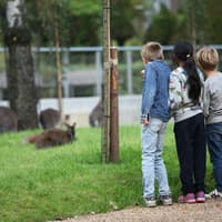 Copenhagen ZOO: Skip The Line Ticket