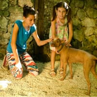 Croco Cun Zoo: Fast Track Ticket