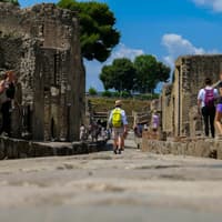 Herculaneum: Guided Tour