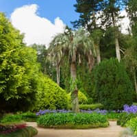 Pena Park in Sintra: Entry Ticket, Lisbon, photo 5