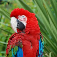 Lisbon Zoo: Fast Track Ticket, Lisbon Zoo, لیسبون و سینترا