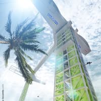AJ Hackett Bungy Jump — gallery 1