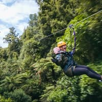 Rotorua Forest Zipline Experience — gallery 4