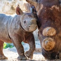 Zoo Miami Tickets — gallery 4
