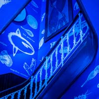 Tickets to Vasco da Gama Aquarium in Lisbon — gallery 2