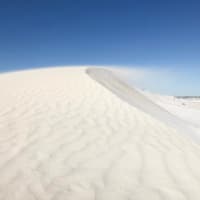 10-stündige geführte Tour zu den Pinnacles in Australien mit Mittagessen und Hin- und Rücktransfer zum Hotel, Perth