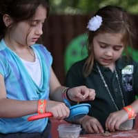 Dinosaur World Florida: Entry Ticket — gallery 2