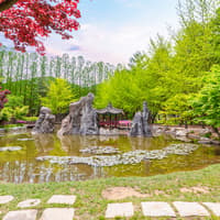 Nami Island Day Tour with Gangchon Rail Bike — gallery 1