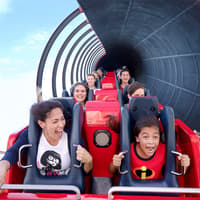 Disneyland California Lightning Pass (1-3 Days) — gallery 2