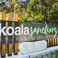 Port Stephens Koala Sanctuary, Port Stephens Koala Sanctuary, Sydney