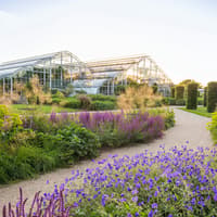 RHS Garden Wisley: Entry Ticket