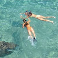 Islamorada: Snorkel Adventure & Sandbar Trip