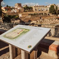 Herculaneum Guided Tour with Skip-the-Line Tickets