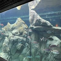 Acquario di Livorno: Entry Ticket