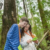 Otway Fly Treetop Adventures: Treetop Walk