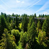 Zdiar : Treetop Walk Bachledka Private Tour from Krakow — gallery 2