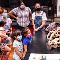 The Field Museum of Natural History: Guided Tour + Early Access + Exhibition — gallery 1