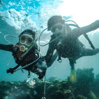 Hurghada : Plongée sous-marine guidée + Transferts + Déjeuner, Hourghada