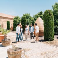 Toledo: City & Winery Tour from Madrid + Wine Tasting — gallery 1