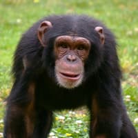 Lisbon Zoo: Fast Track Ticket, Lisbon Zoo, لیسبون و سینترا