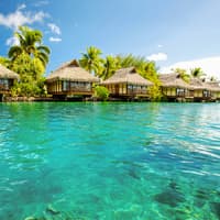 From Fort Lauderdale: Bimini Bahamas Day Trip by Ferry — gallery 2
