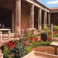Pompeii: Day Trip from Rome + Lunch — gallery 3