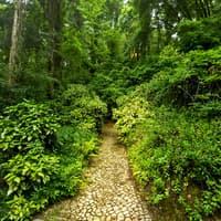 Pena Park in Sintra: Entry Ticket, Lisbon, photo 1