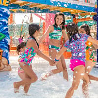 Island H2O Water Park: Fast Track Ticket