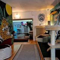 Cat Museum Budapest: Entry Ticket + Audio Guide — gallery 3