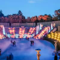 Versailles Night Fountains Show from Paris