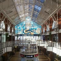 Cape Town: Roundtrip Transfer from/to International Airport — gallery 3