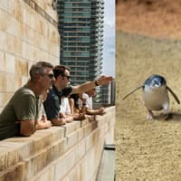 Melbourne: Magic Combo Tour