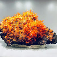 Geology and Mineralogy Gallery: Entry Ticket — gallery 2