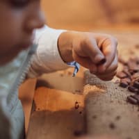 WOW Porto: Chokoladeoplevelsen - Indgangsbillet af 20|20, WOW Porto: The Chocolate Experience, Vila Nova De Gaia
