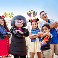 Disneyland California Lightning Pass (1-3 Days) — gallery 1