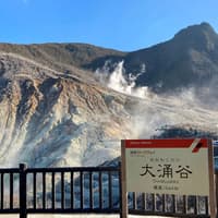 Hakone Free Pass — gallery 2
