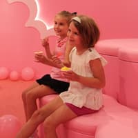 Museum of Ice Cream Chicago: VIP Anytime Entry Ticket — gallery 1