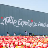 Tulip Experience Tickets with Tulip Fields Visit and Optional Transfers from Amsterdam — gallery 2