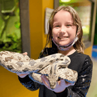 SeaQuest Las Vegas — gallery 3